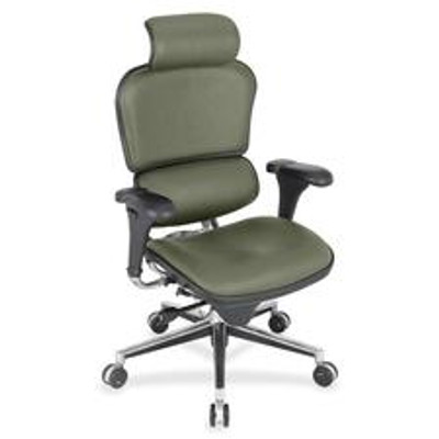 Eurotech ergohuman LE9ERG High Back Executive Chair - Sage Seat Color - Shire Fabric Seat Material - Sage Back Color - Shire Fabric Back Material - 5-star Base - 1 Each