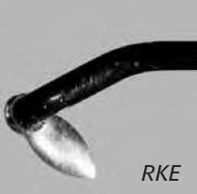 Blade Electrode Elite System Perkash 24 Fr. Retrograde Knife Tip Disposable Sterile