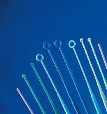 Inoculating Loop 1 µL Plastic Integrated Handle Sterile Inoculating Loop 1 µL Plastic Integrated Handle Sterile