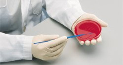 Inoculating Loop BD Difco 10 ?L Plastic Integrated Handle Sterile