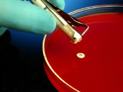 Antimicrobial Susceptibility Testing Disc HardyDisks Optochin