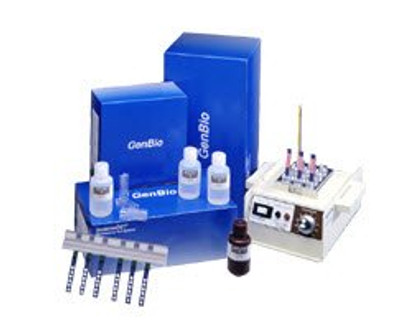 Autoimmune Test Kit ImmunoDOT Connective Tissue Disease / Lupus 100 Tests CLIA Non-Waived