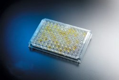 H. Pylori Test Kit Premier® H. Pylori 96 Tests CLIA Non-Waived