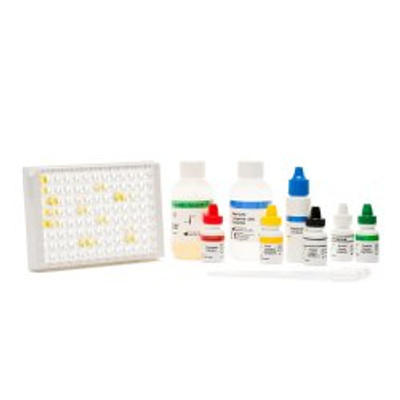 Digestive Test Kit TechLab® Tri-Combo Giardia / Cryptosporidium / E. Histolytica 96 Tests CLIA Non-Waived Digestive Test Kit TechLab® Tri-Combo Giardia / Cryptosporidium / E. Histolytica 96 Tests CLIA Non-Waived