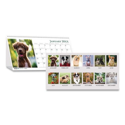 Earthscapes Recycled Desk Tent Monthly Calendar, Puppies Photography, 8.5 X 4.5, White/multicolor Sheets, 2022