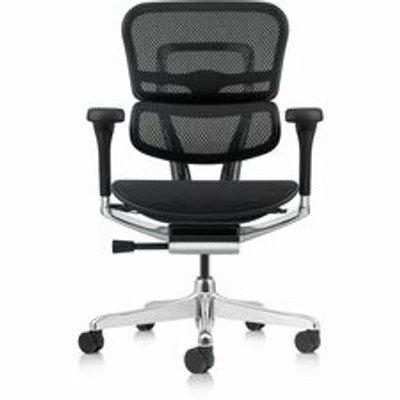 Eurotech ErgoHuman Gen2 Executive All-Mesh Chair - Fiber Polymer Composite (FPC) Frame Material - 5-star Base - Black - Mesh - Armrest - 1 Each