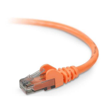 Belkin RJ45 Category 6 Snagless Patch Cable - 75.13 ft Category 6 Network Cable - First End: 1 x RJ-45 - Male - Second End: 1 x RJ-45 - Male - Patch Cable - Orange - 1 Each