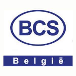 BCS