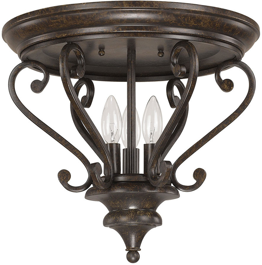 Capital Lighting Ceiling Lights