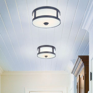 Transitional Ceiling Lights