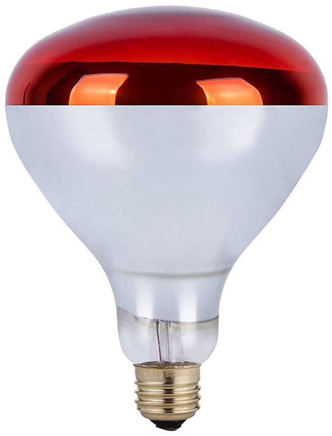 Tech Led Bulbs Cyber Tech IB250R40RDHL Contemporary RED Heat Lamp Light Bulb - CYB ...