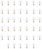 Bulbrite 861217 Contemporary E12 120V (pack of 40) Light Bulbs