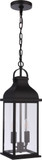 Craftmade ZA7211-MN Bent Tree Midnight Outdoor Drop Ceiling Light Fixture