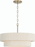 Capital Lighting 349841MA Delaney Modern Matte Brass 20" Pendant Light