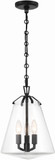 Crystorama VSS-7004-MK Voss Matte Black Foyer Light Fixture