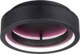 ET2 E35100-BK iCorona Black LED 18" Ceiling Light Fixture