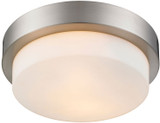 Golden Lighting 1270-11-PW Multi-Family Pewter 10.5" Ceiling Light Fixture