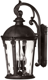 Hinkley 1899BK Windsor Black LED 12.5" Exterior Lamp Sconce