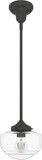 Hunter Lighting 19046 Saddle Creek Modern Mini Pendant Light