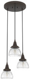 Hunter Lighting 19183 Cypress Grove Contemporary Onyx Bengal Multi Hanging Light