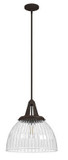 Hunter Lighting 19252 Cypress Grove Contemporary Onyx Bengal Pendant Light