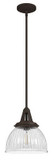 Hunter Lighting 19248 Cypress Grove Contemporary Onyx Bengal Mini Pendant Lighting