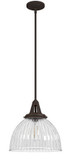 Hunter Lighting 19250 Cypress Grove Contemporary Onyx Bengal Pendant Lighting