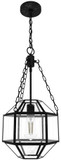 Hunter Lighting 19363 Indria Contemporary Mini Pendant Lighting