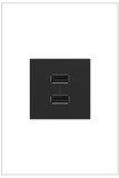 Legrand Adorne ARUSB2AA6G4 Graphite A/A USB Outlet