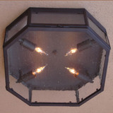 Lighting Innovations C1643 Outdoor 14.8" Wide x 4.6" Tall Overhead Lighting