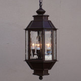 Lighting Innovations H2156 Exterior 9.6" Wide x 24" Tall Ceiling Pendant Light