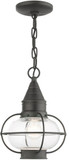 Livex 26910-61 Newburyport Charcoal Outdoor Mini 9" Hanging Lamp