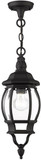 Livex 7523-14 Frontenac Traditional Textured Black Outdoor Drop Ceiling Lighting