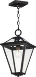 Maxim 30569CLBK Prism Contemporary Black Outdoor Ceiling Pendant Light