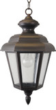 Melissa 1551 1500 Series Traditional Medium Outdoor Pendant Lighting