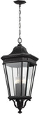 Generation Lighting OL5414BK Cotswold Lane Black Exterior 13" Pendant Light