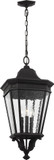 Generation Lighting OL5432BK Cotswold Lane Traditional Black Outdoor Hanging Lamp