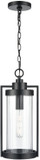 Millennium 192401-PBK Braselton Modern Powder Coated Black Outdoor Pendant Lamp