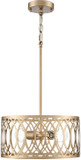 Millennium 42102-PMG Arelyn Contemporary Painted Modern Gold 13" Drum Pendant Hanging Light