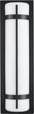 Millennium 76101-PBK Modern Powder Coated Black LED 20" Outdoor Wall Lighting Fixture