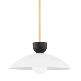 Mitzi H481701L-AGB Whitley Modern Aged Brass 20" Hanging Light Fixture