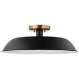 Nuvo 60/7494 Colony Matte Black and Burnished Brass 20" Overhead Lighting Fixture