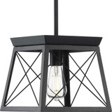 Progress P500041-031 Briarwood Black Mini Pendant Lighting