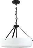 Progress P500508-031 Lieon Modern Black 21" Hanging Light