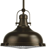 Progress P5197-108 Fresnel Lens Vintage Oil Rubbed Bronze 16" Pendant Lighting