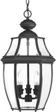 Progress P6533-31 New Haven Black Outdoor Drop Ceiling Lighting