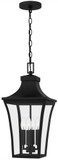 Quoizel QTN1910EK Quentin Modern Earth Black Outdoor Ceiling Pendant Light