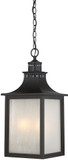Savoy House 5-256-13 Monte Grande English Bronze Exterior Hanging Light Fixture