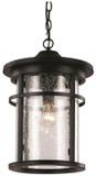 Trans Globe 40385 Avalon Exterior 9" Hanging Lamp
