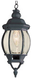 Trans Globe 4065 Parsons Traditional Outdoor 6.5" Pendant Hanging Light